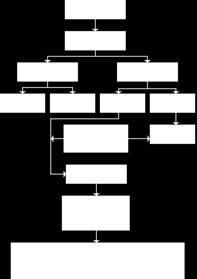 Figura 2 - Protocolo de