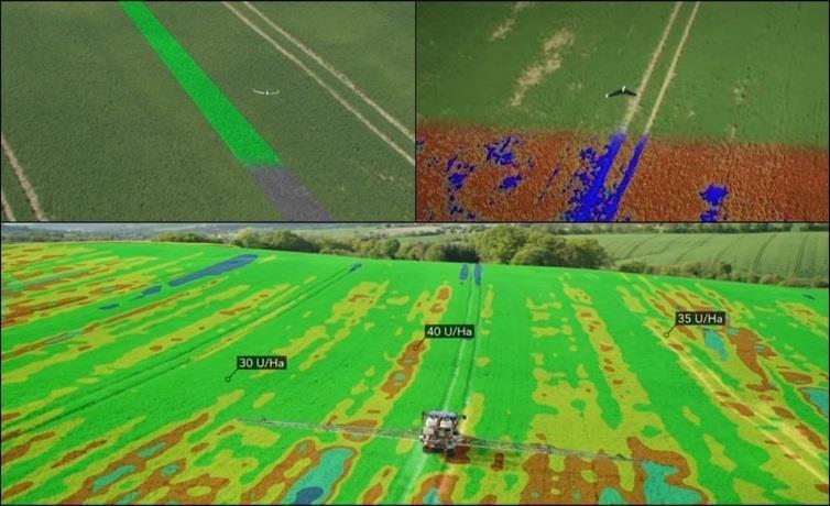 AGRICULTURA DE PRECISÃO Uma das vantagens do mapeamento topográfico aéreo realizado com tecnologia RPA através de Drone