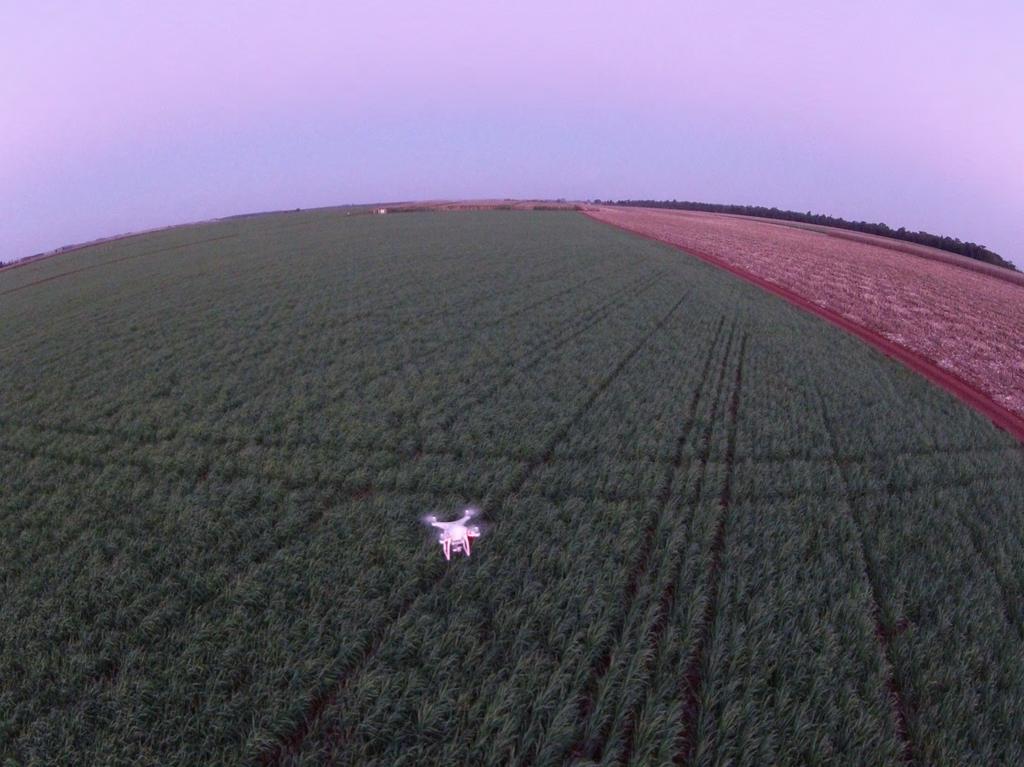 O uso do drone é uma EXCELENTE ferramenta de auxílio nas avaliações a campo; Flexibilidade de uso; Agilidade no