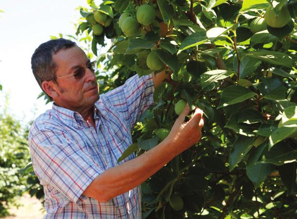 A satisfação dos nossos clientes, as boas práticas agrícolas e a segurança alimentar são alguns dos nossos objetivos, para dar a conhecer o que de melhor se produz em Portugal.