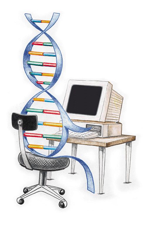 Computação Evolutiva Principais categorias: Algoritmos Genéticos Estratégias