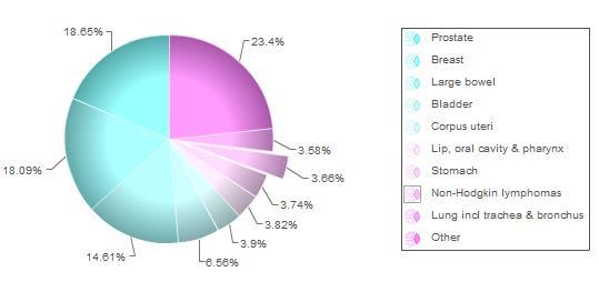 Linfoma anaplásico de células grandes, ALK- Linfoma primário dos derrames Linfoma Burkitt Linfoma B, não classificado, com características