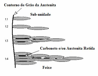 54 Figura 2.7. Representação dos estágios de formação de bainita (MATSUDA; BHADESHIA, 2004).