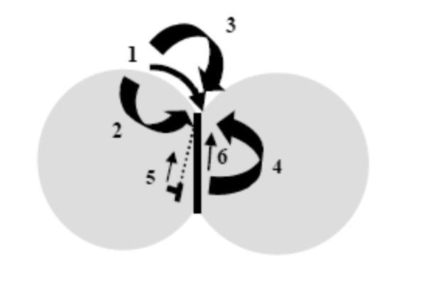23 Figura 2.6: Representação de transferência de massa em modelo esférico de partículas na sinterização [48]. A figura 2.