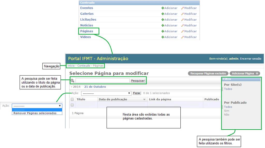 Páginas Para acessar esse cadastro, o usuário deve clicar no link Páginas situado na tela de administração do portal (Figura 2), que levará a tela de manutenção das páginas (Figura 11).
