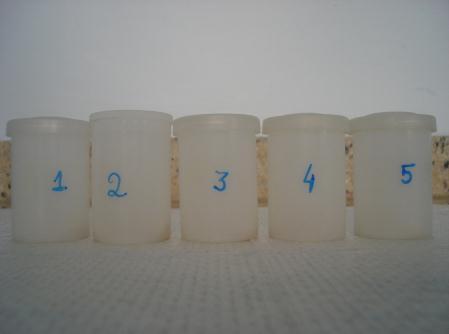 Cada grupo foi separado em um pote hermeticamente fechado contendo sílica gel (Fig. 8). Fig. 8: Grupos separados em potes fechados, prontos para metalização.