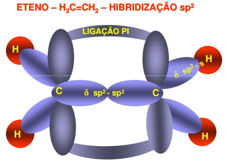 molécula trigonal plana (triangular), ângulos entre as