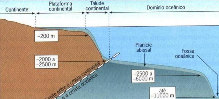 Capítulo 3 A Terra, um planeta único a proteger 3.