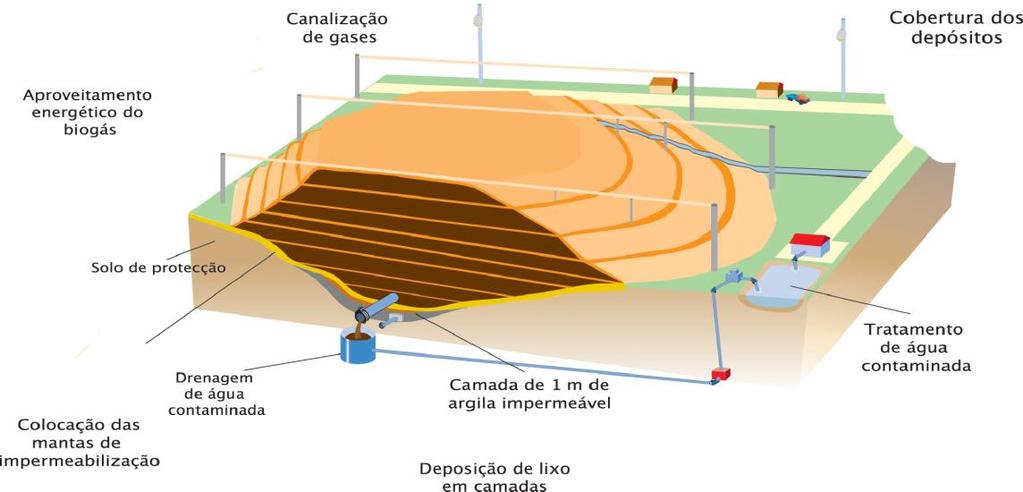 Capítulo 3 A Terra, um planeta único a proteger 3.