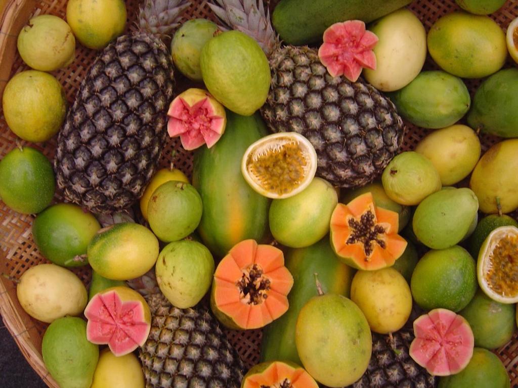 Fruticultura Tropical Prof. Harumi Hamamura UniSALESIANO Lins Imagem:https://www.google.com.br/url?