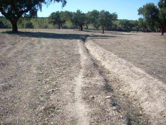 Património Tipologia Estação de Superfície Cronologia Romano Arqueológico Conservação Indeterminado Dispersão de materiais cerâmicos, de construção e uso doméstico. Pastas alaranjadas.