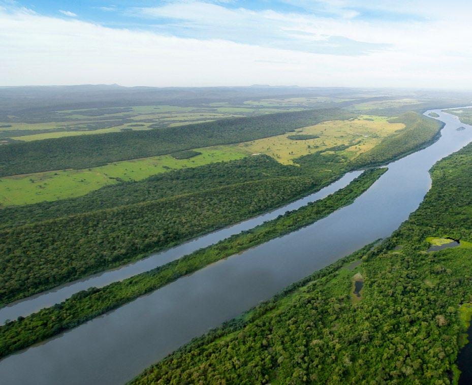 16 NELORE GRENDENE FAZENDA RESSACA: TRADIÇÃO, HISTÓRIA E GENÉTICA NELORE Ao participar do Leilão 1000 Touros Nelore Grendene, o pecuarista e o investidor também ganham a possibilidade de conhecer um