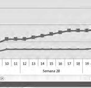 do gráfico apresentado,