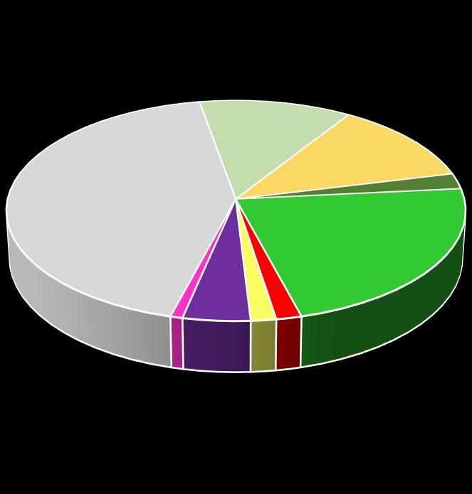 Na área diretamente afetada a distribuição do uso do solo é mostrada no gráfico abaixo.