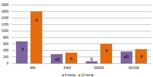 Figura 2: Número total de esporos que apresentaram formação do apressório nos diferentes genótipos de soja em dois tempos de coleta de amostras, Bandeirantes, 2015.