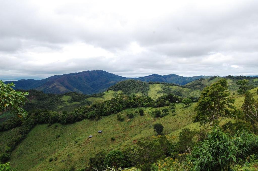 Os vestígios arqueológicos foram identificados na média vertente (onde estão as lonas de escavação dos arqueólogos) e na crista do morro (Foto: Fernando Ozorio de Almeida).