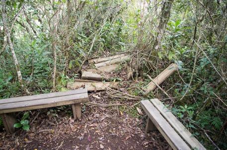 experiência do visitante e reduz o risco de acidentes.!! Foto 1. Solo da pisada dos degraus necessita ser refeito e compactado. Alguns troncos estão soltos. Marcos Silverio, 2014 Foto 2.