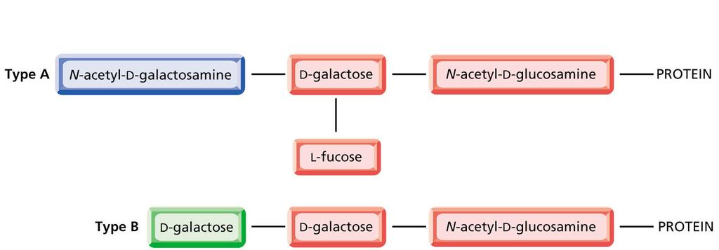 Glicoproteínas encontradas na superfície