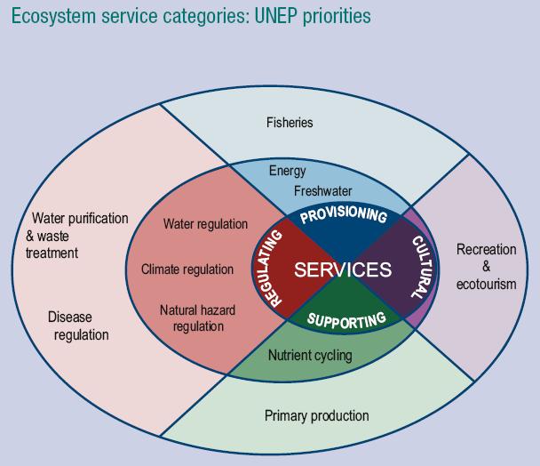 desenvolvido para abordar, de forma equilibrada, os objectivos da CDB (Secretariat of the Convention on Biological Diversity & Netherlands Commission for Environmental, 2006).