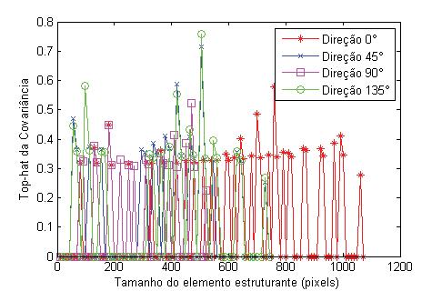 Os picos podem ser contados automaticamente aplicando a seguinte sequência de operações: cálculo da primeira derivada para realçar as variações de frequência do gráfico (Figura 39), filtragem top-hat