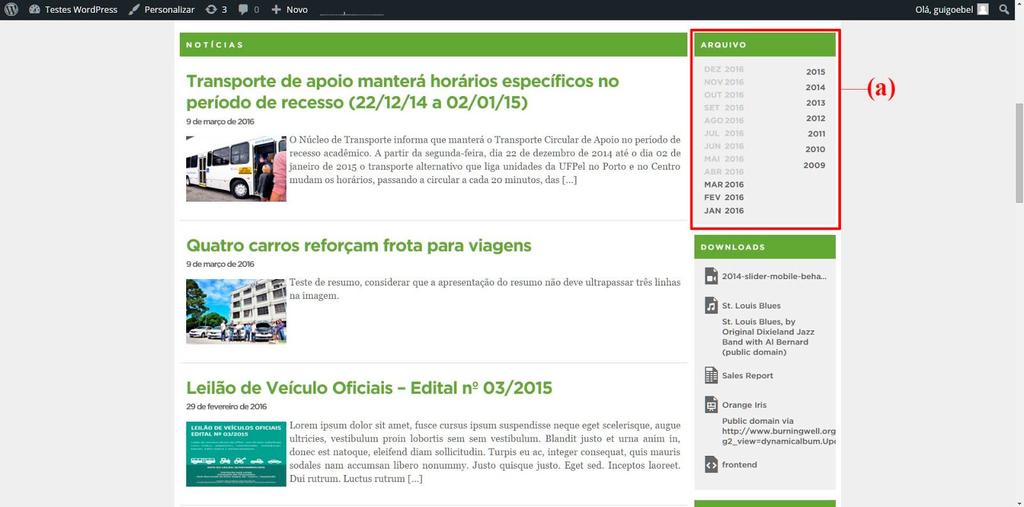 O campo Título define o título exibido no site; a opção Usar link configura se o título do widget deve linkar para o arquivo da categoria selecionada. 3.4.