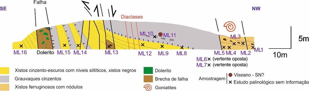 (Fig. 20), apresenta uma idade aparente do Viseano superior através da identificação de Savitrisporites nux.