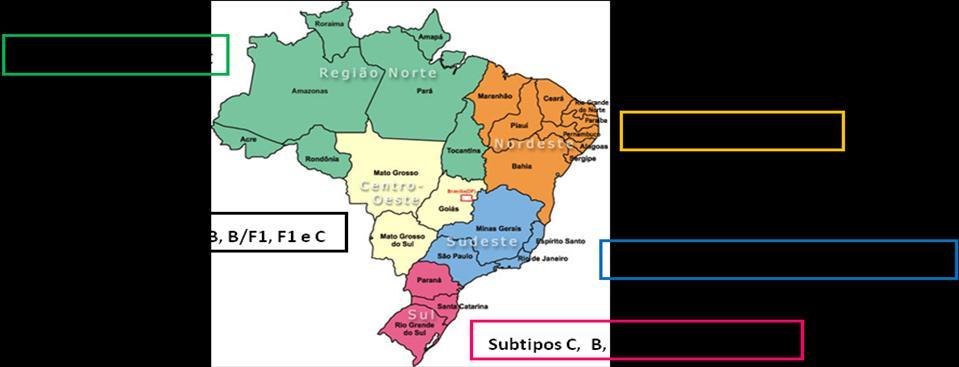 probabilidade de recombinação do HIV-1 e o desenvolvimento de mosaicos genômicos (Andrew et al. 1996), como tem sido observado no Brasil.