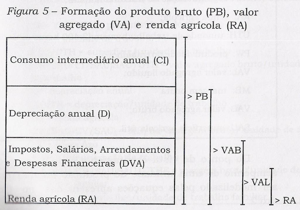 O processo de formação da RAI no