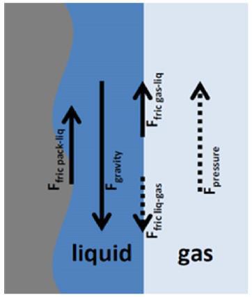 33 Figura 9 - Diferentes forças atuantes na queda de pressão. Fonte: ZAKERI et al., 2012. Na Figura 10 é mostrada a variação da queda de pressão em função da vazão de gás em uma torre recheada.