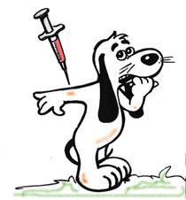 飼い犬の登録と予防注射 O registro no Município e a vacina anti-rábica 1 vez por ano é obrigatória para cães com mais de 91 dias.