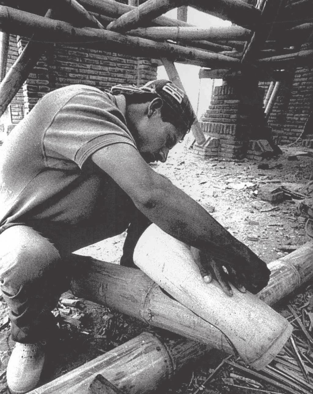 Estruturas em bambu O bambu pode ser empregado em praticamente todos os elementos estruturais de uma construção. Para garantir a segurança do edifício, devemos conhecer bem a espécie empregada.