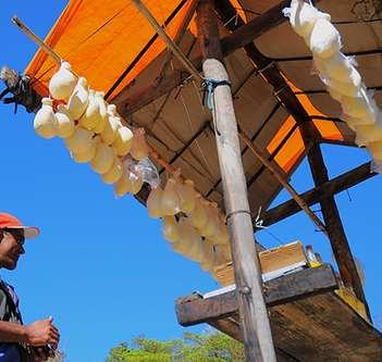 através de mudanças físicas e químicas complexas (Furtado,