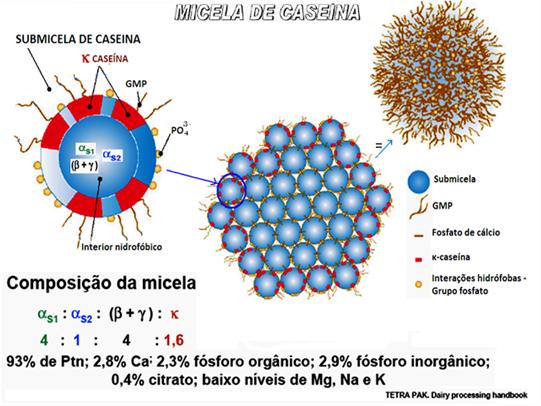 estérico INSTABILIDADE DA MICELA USP/ESALQ B.