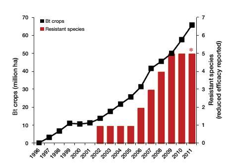 Adoção da tecnologia Bt no mundo Casos de Resistência Adoção da tecnologia Bt no mundo Casos de Resistência Cultura Proteína Espécie País Ano de Liberação Comercial Tempo para Resistência no Campo