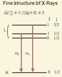 característica