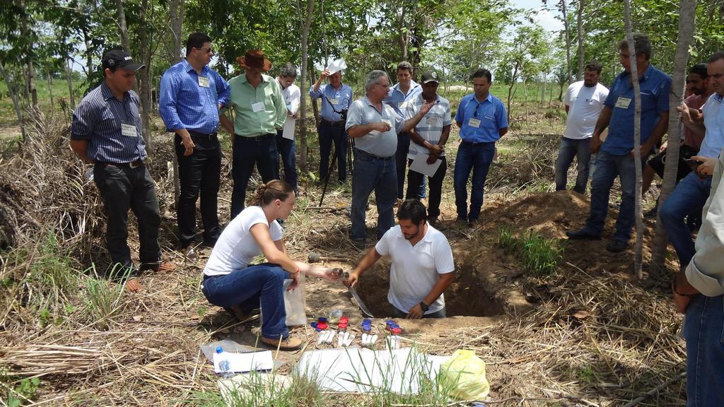 Grupo Roncador no Vale do Araguaia/MT: aprox.