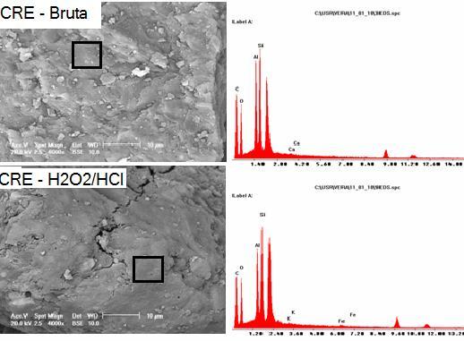 161 ANEXO 9: Microscopia Eletrônica de Varredura