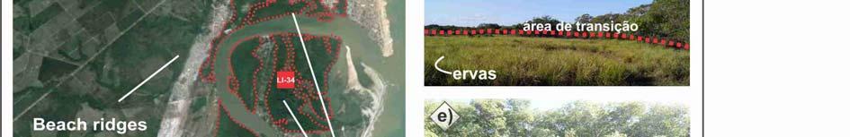 Figura 6 Localização da área de estudo no litoral de Linhares-ES: