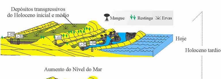 80 Figura 26 Modelo da evolução geomorfológica e vegetação do litoral de Linhares-ES de acordo com o suprimento de sedimento e mudanças no NRM: (a) Primeiro estágio de progradação com