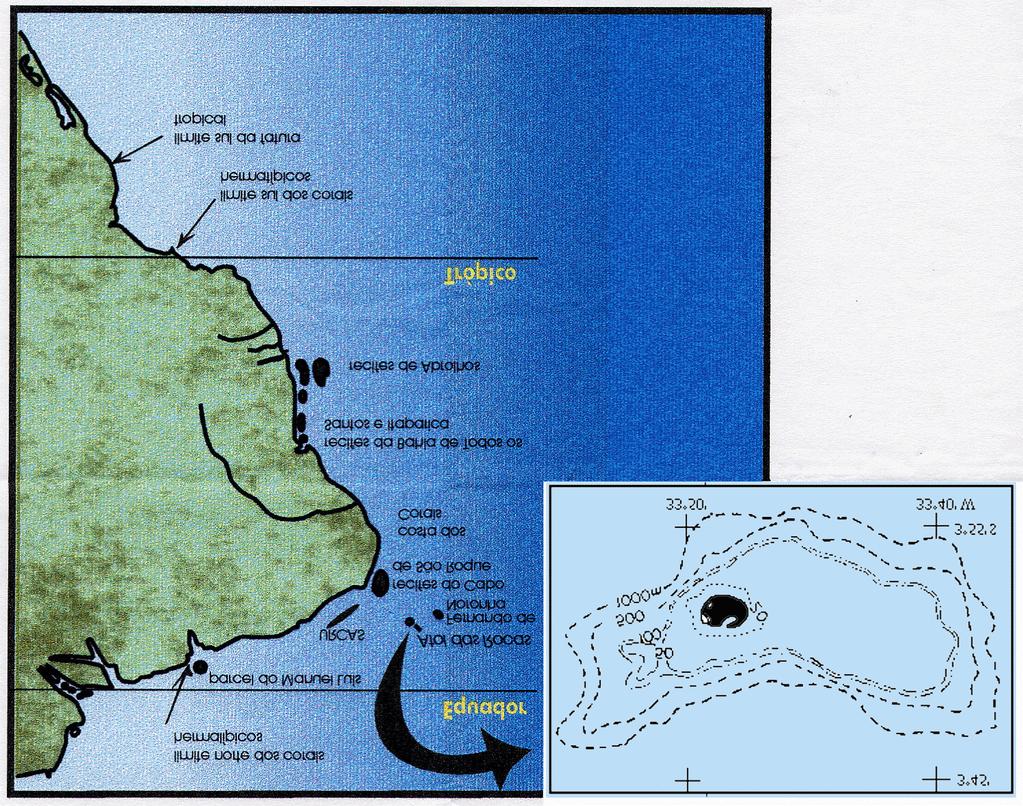 leste do atol, arco de barlavento, durante a maior parte do ano (Gherardi & Bosence, 1999).