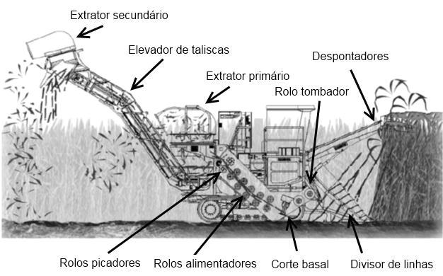 12 Fonte: Adaptado de JOHN DEERE (2006). Figura 4. Colhedora autopropelida de cana-de-açúcar picada e principais mecanismos.