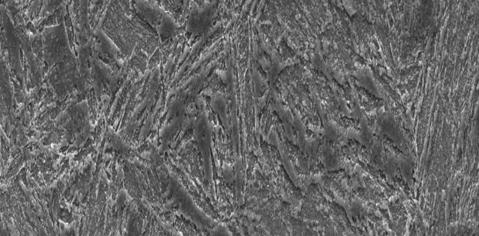 A figura 10(a) apresenta a micrografia obtida via MEV do grau de aço L80, e na figura 10(b) referente à micrografia do grau P110 verifica-se que para a mesma ampliação menor