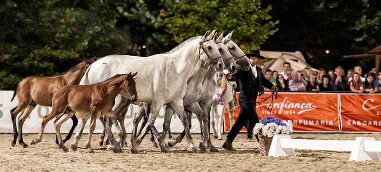 23 a 26 junho Feira do Cavalo Considerada como um dos acontecimentos equestres de referência pelo nível de qualidade, do rigor das provas e dos concursos que apresenta, a Feira do Cavalo deixou de