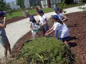 Biological Kitchen Gardens