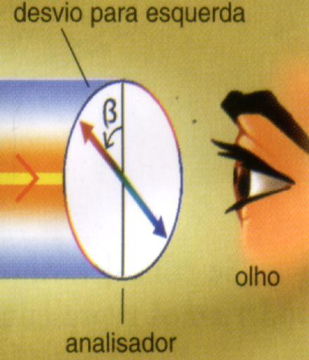 Isomeria Óptica Luz polarizada C 3 - C - COO O Ác.