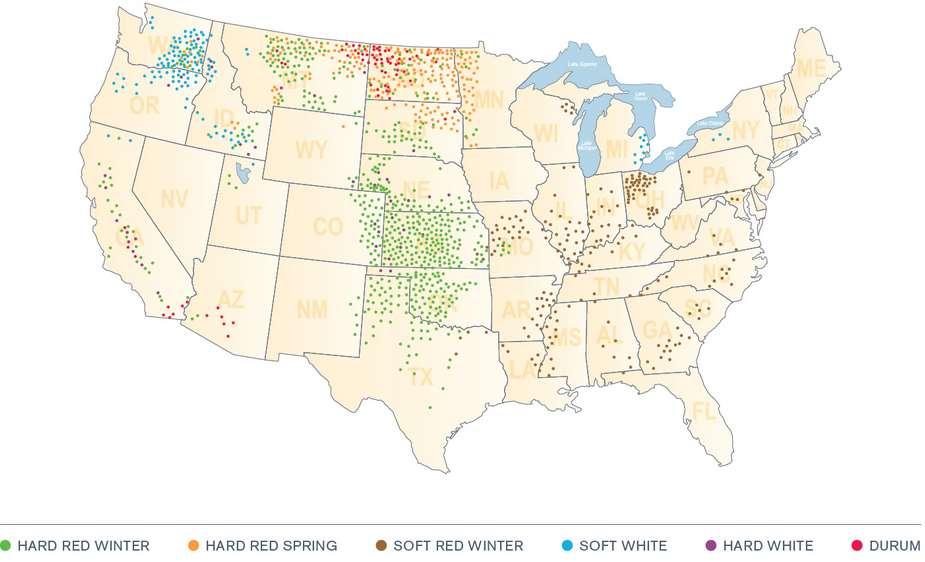 USA Produção se manteve em 58,13 MMT; Trigo de inverno plantado (31%); Exportações foram reduzidas novamente, preços altos e competição internacional; Exportações devem ser