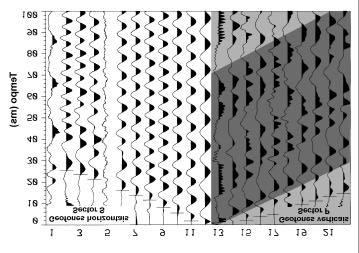 Fig. 7 : Registos processados com AGC e primeiras chegadas (local B) Fig.