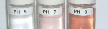 0,5% em solução água/etanol ph ajustado para ph 4, 5, 7 e 9 Soluções armazenadas em temperatura ambiente Medição da cor em laboratório é feita
