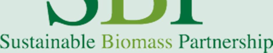 Produtores de Biomassa