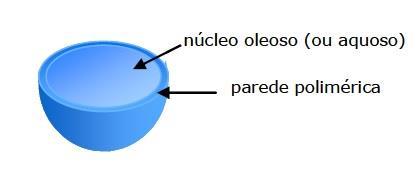 Figura 1: Representação simplificada de um sistema simplificado de nanocápsulas (In: CAMARGO, 2009).
